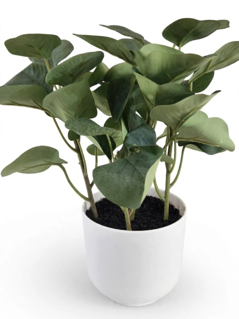 Green Leaf Houseplant in White Pot – Home Decor